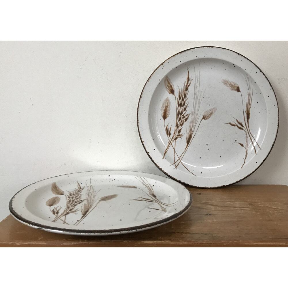 Pair Vtg Midwinter Stonehenge Stoneware England Wild Oats Dinner Plates 10.5"